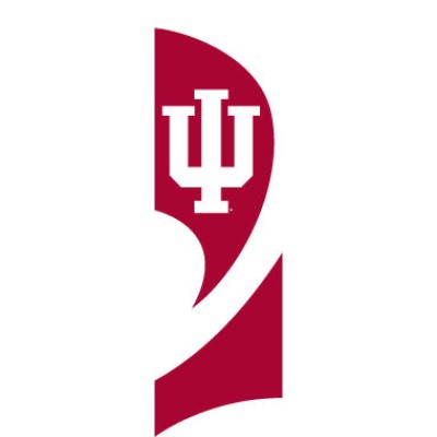 TTIU Indiana Tall Team Flag with pole
